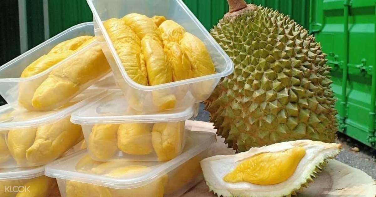 singapore 1 day durian tour